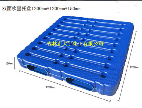 �p�洵���бP(p��n)